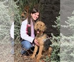 Small #6 Breeder Profile image
