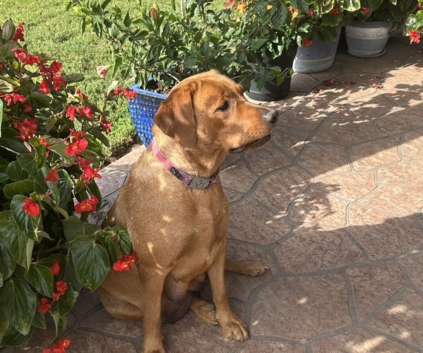 Medium Photo #6  Breeder Profile in HIAWATHA, KS, USA
