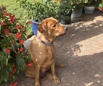 Small #5 Breeder Profile image