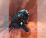 Small #7 Breeder Profile image
