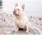 Small Photo #2  Breeder Profile in RATHDRUM, ID, USA
