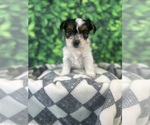 Small #5 Breeder Profile image