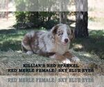 Small #11 Breeder Profile image