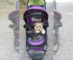 Small #5 Breeder Profile image