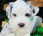 Small #9 Breeder Profile image
