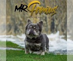 Small #31 Breeder Profile image