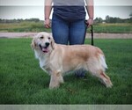 Small #9 Breeder Profile image