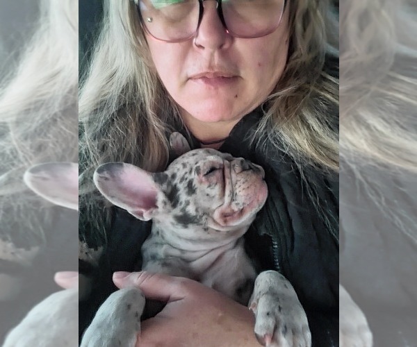 Medium Photo #20  Breeder Profile in BAKER CITY, OR, USA