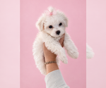 Small #1 Breeder Profile image