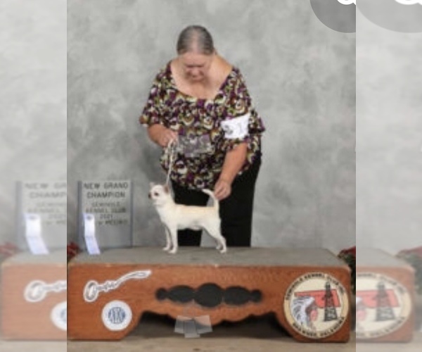 Medium Photo #1  Breeder Profile in SHAWNEE, OK, USA