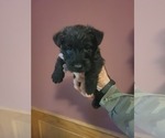 Small #5 Breeder Profile image
