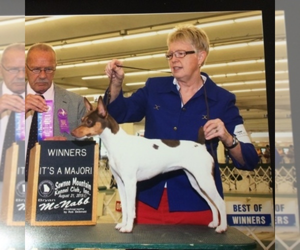 Medium Photo #1  Breeder Profile in STOKESDALE, NC, USA