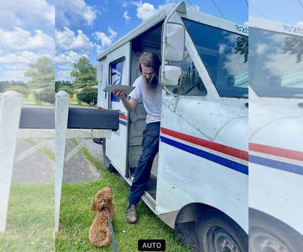 Medium Photo #21  Breeder Profile in S CHARLESTON, WV, USA