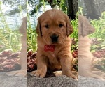 Small #23 Breeder Profile image