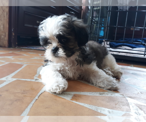 Medium Photo #1  Breeder Profile in ATLANTIC BCH, SC, USA