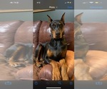 Small #27 Breeder Profile image