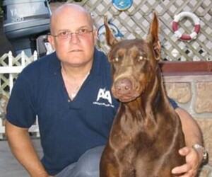 Medium Breeder Profile Photo