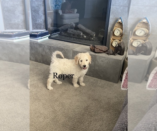 Medium Photo #2  Breeder Profile in PEYTON, CO, USA