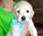 Small #4 Breeder Profile image
