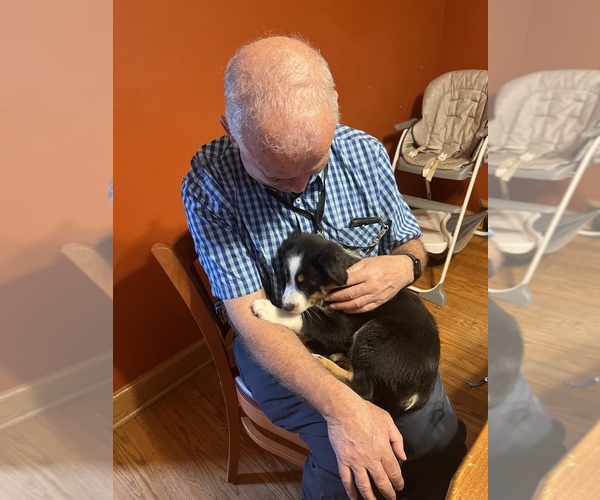 Medium Photo #7  Breeder Profile in JEFFERSONTOWN, KY, USA