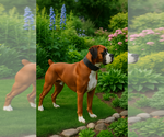 Small #1 Breeder Profile image