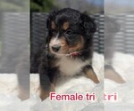Small #5 Breeder Profile image