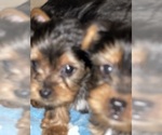 Small #3 Breeder Profile image