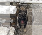 Small #14 Breeder Profile image