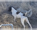 Small #4 Breeder Profile image