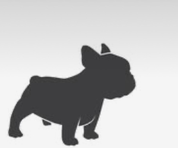 Medium Photo #1  Breeder Profile in LONG BEACH, CA, USA