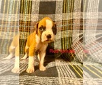 Small #5 Breeder Profile image