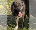 Small #27 Breeder Profile image