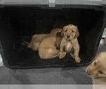 Small #27 Breeder Profile image