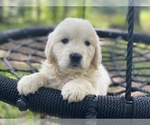 Small #7 Breeder Profile image