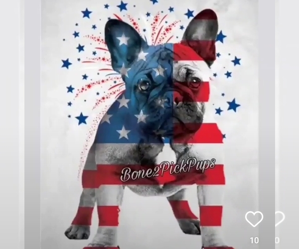 Medium Photo #1  Breeder Profile in CROSBY, TX, USA