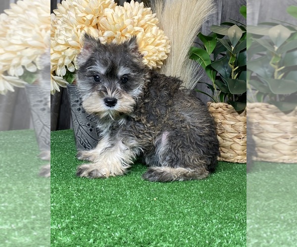 Medium Photo #4  Breeder Profile in CANOGA, NY, USA