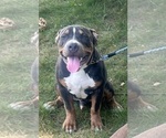 Small #2 Breeder Profile image