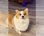 Small #29 Breeder Profile image