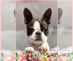 Small Photo #2  Breeder Profile in MOSELLE, MS, USA