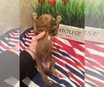 Small #3 Breeder Profile image