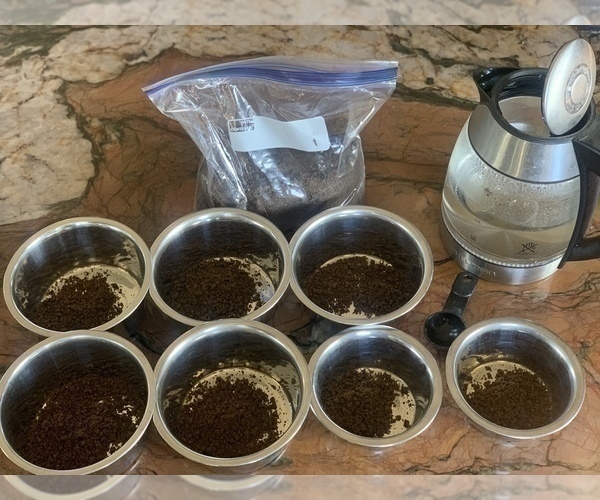 Medium Photo #79  Breeder Profile in PINON HILLS, CA, USA