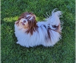 Small #13 Breeder Profile image