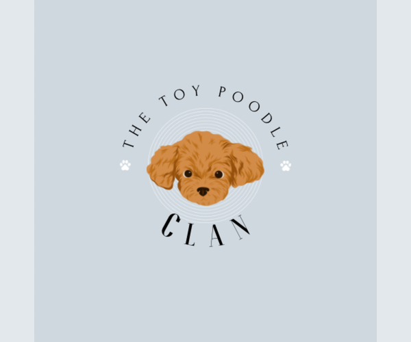 Medium Photo #8  Breeder Profile in LONG BEACH, CA, USA