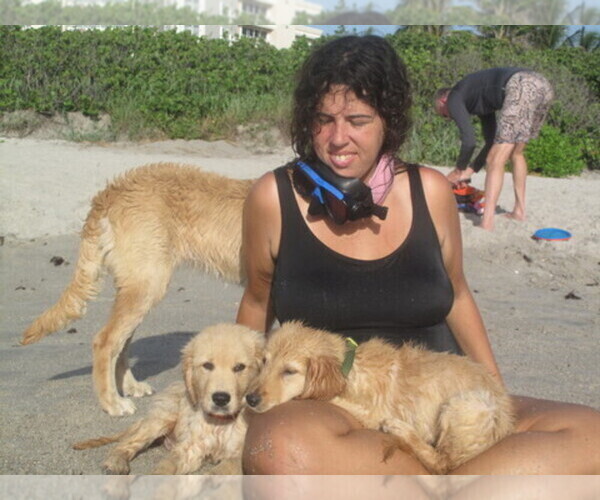 Medium Photo #1  Breeder Profile in PORT SAINT LUCIE, FL, USA