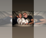 Small #4 Breeder Profile image