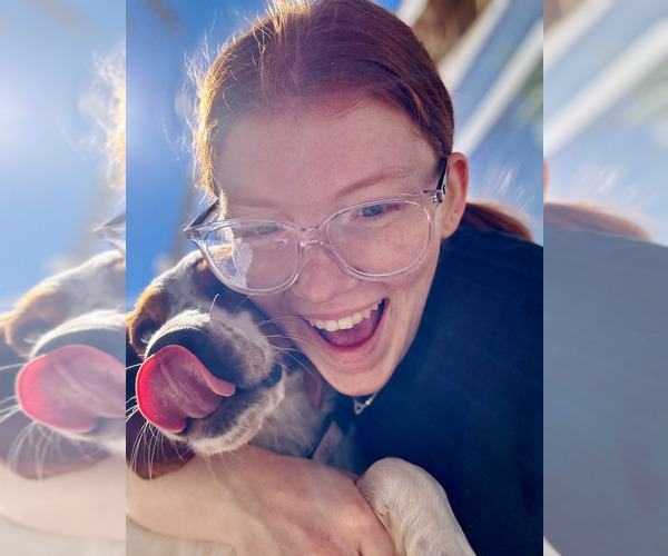 Medium Photo #1  Breeder Profile in CEDAR PARK, TX, USA