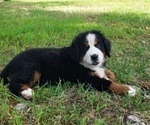 Small #7 Breeder Profile image