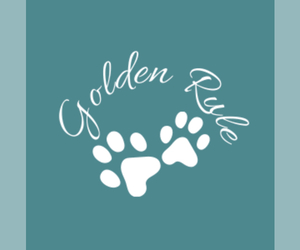 Golden Retriever Dog Breeder near VERONA, KY, USA