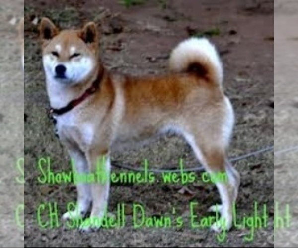 Medium Photo #14  Breeder Profile in THOMASTON, GA, USA