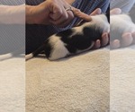 Small #25 Breeder Profile image